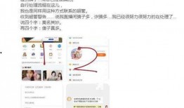 好友爆料视频大全集在线观看,揭秘生活百态，笑料横生